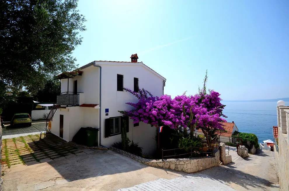 Ferienwohnung in Ciovo haustiergeeignet 66125617 12331