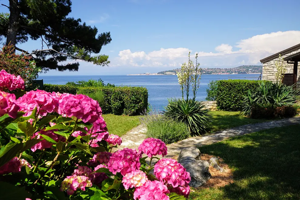 Ferienwohnung in Umag haustiergeeignet 66132700 17834