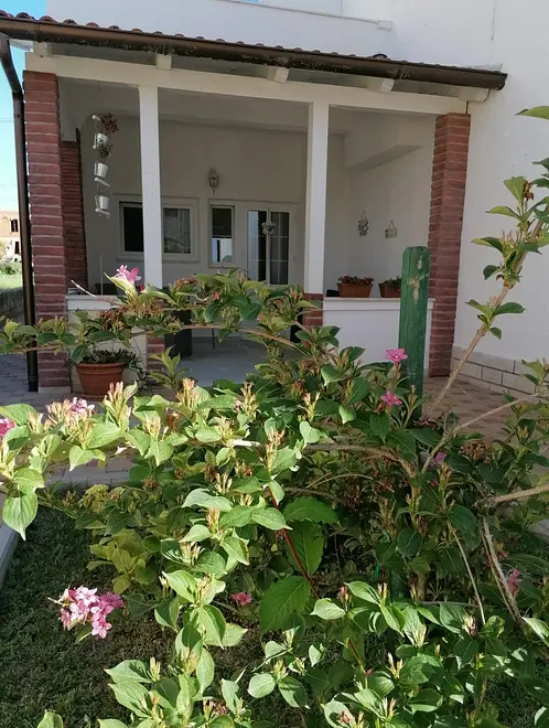 Ferienwohnung in Barbat haustiergeeignet 999209585 37504 – Foto 11