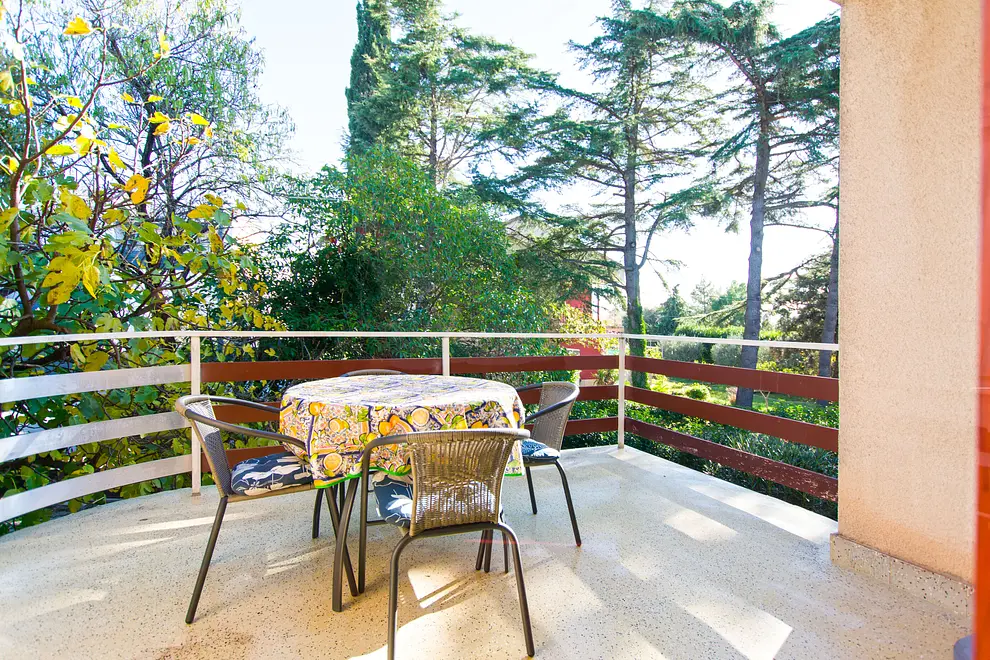 Ferienwohnung in Biograd haustiergeeignet 66153092 26840