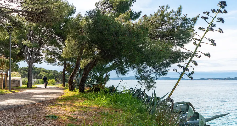 Ferienwohnung in Zadar  999227364 42468 – Foto 38