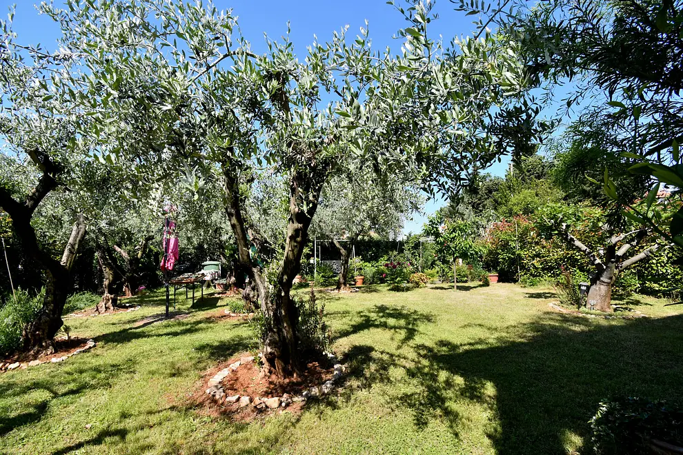 Ferienwohnung in Porec haustiergeeignet 999212383 40024 – Foto 30