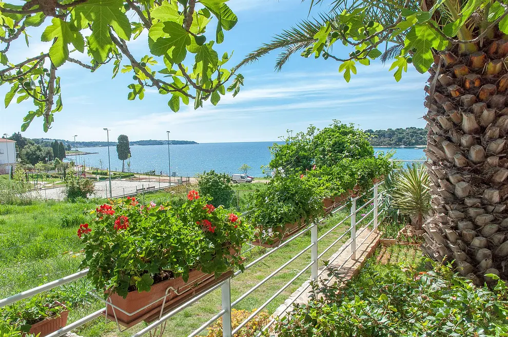Ferienwohnung in Pula  999203594 31832 – Foto 1