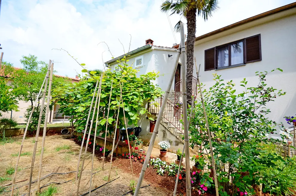 Ferienwohnung in Fazana haustiergeeignet 66121510 9305