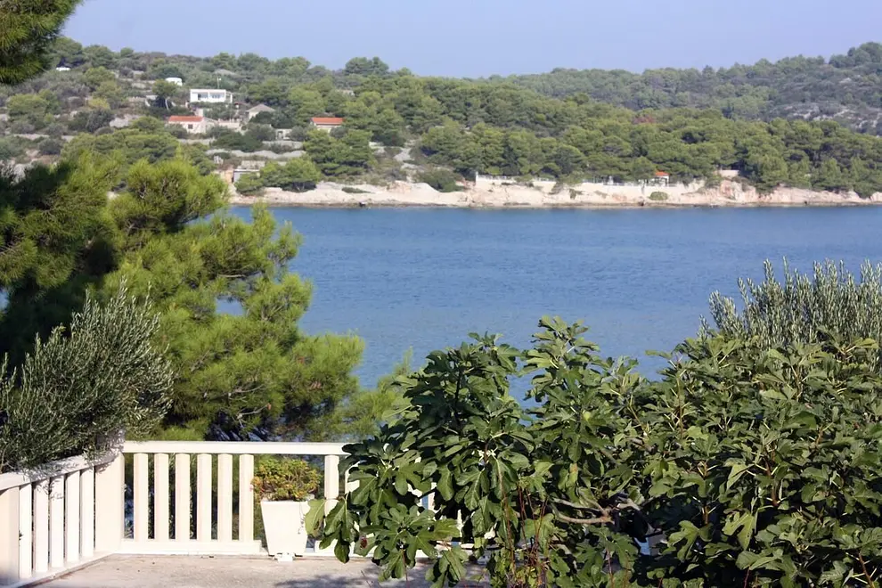 Ferienwohnung in Solta  66151564 25654