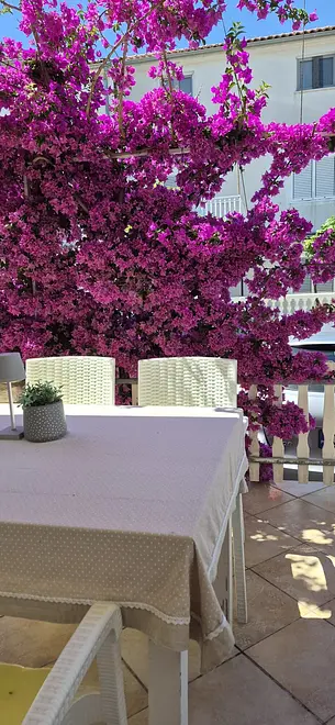 Ferienwohnung in Vodice  999207401 35455 – Foto 2