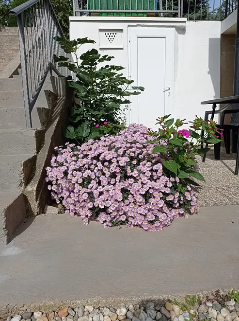 Ferienwohnung in Matulji  999205913 34040 – Foto 17