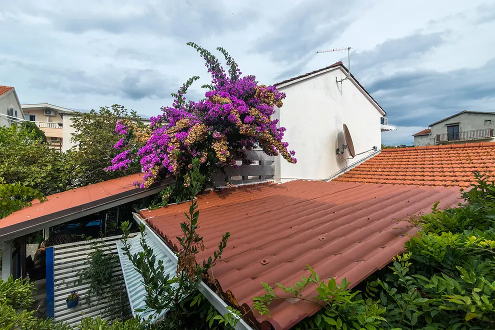 Ferienwohnung in Hvar haustiergeeignet 66157392 28910