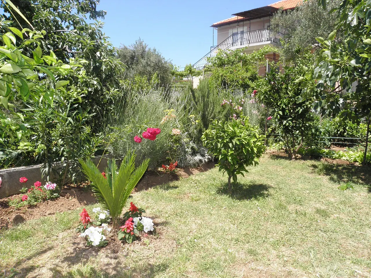 Ferienwohnung in Bibinje  999209824 37724