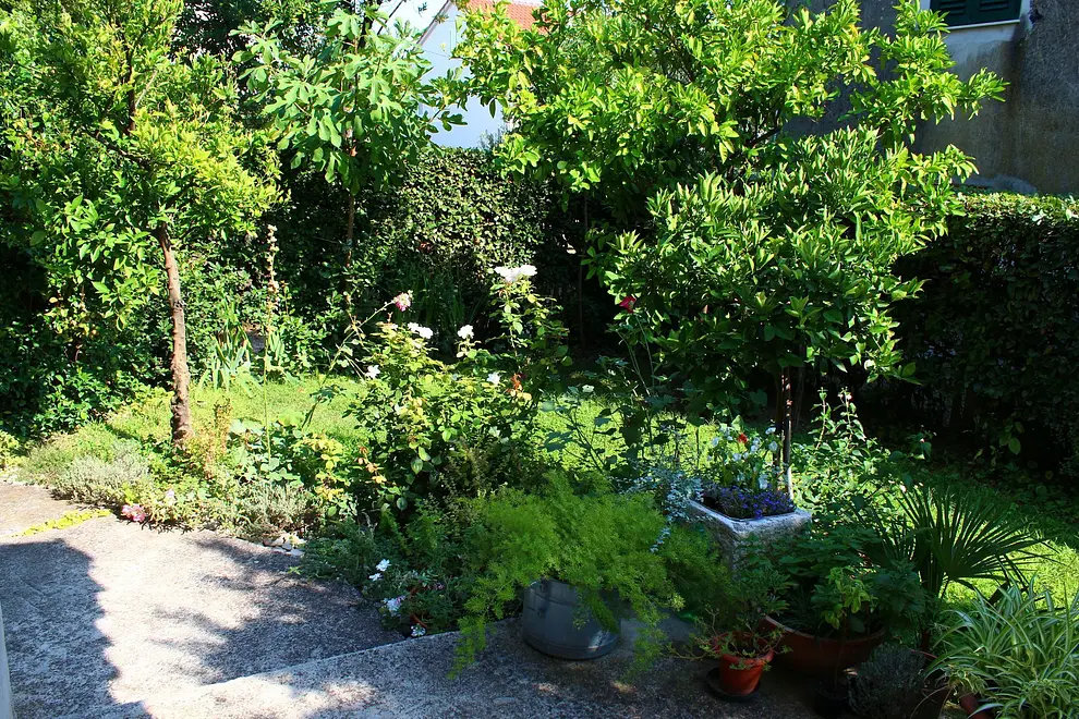 Ferienwohnung in Kastela  999213325 40848 – Foto 8