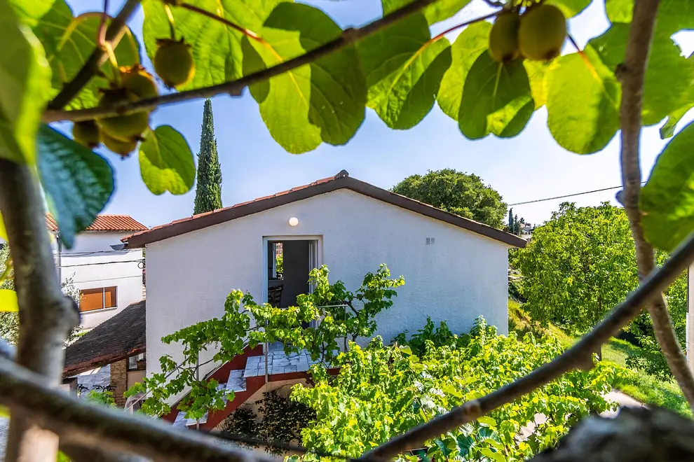 Ferienwohnung in Krnica  999211555 39323 – Foto 14