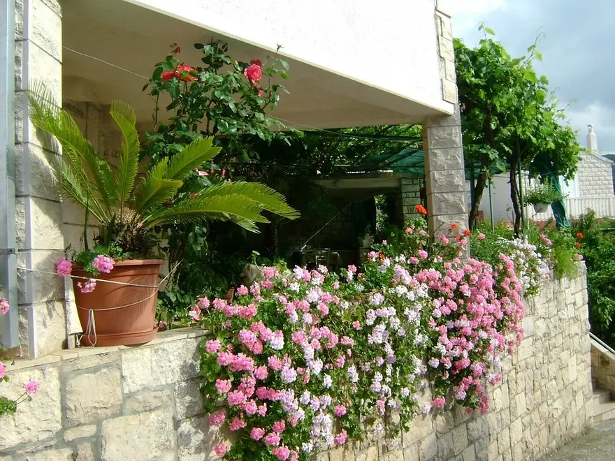 Ferienwohnung in Brac  999208612 36568 – Foto 5