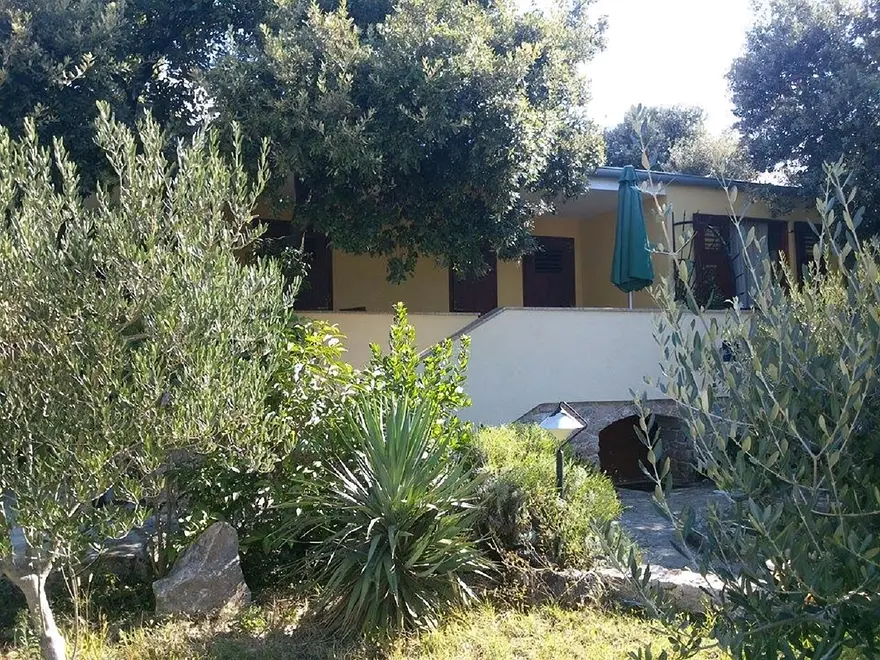 Ferienwohnung in Zadar  999209782 41204 – Foto 4