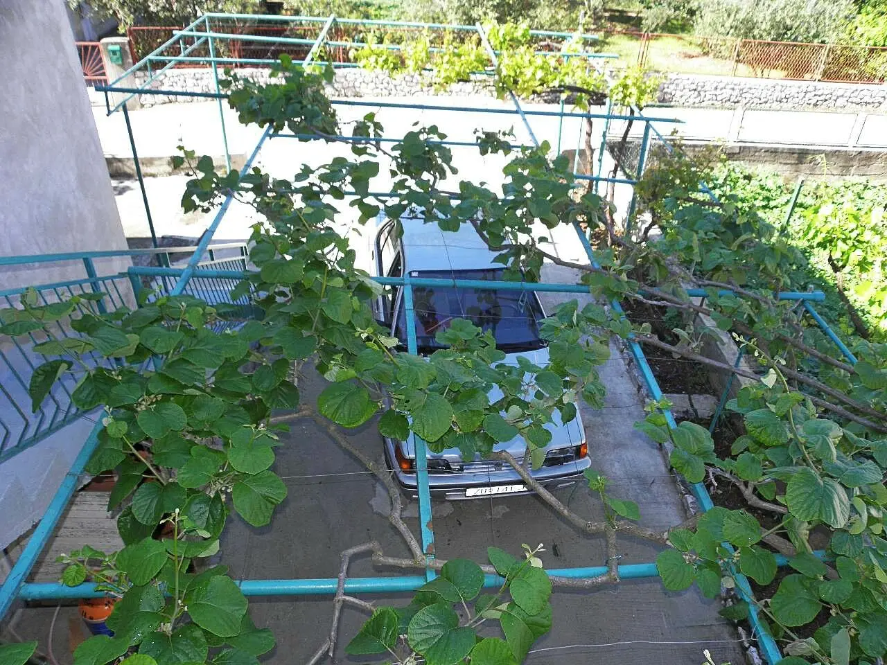 Ferienwohnung in Biograd  999210651 38494