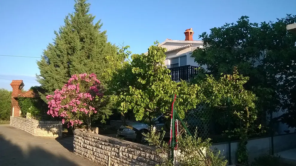 Ferienwohnung in Murter haustiergeeignet 6611657 587