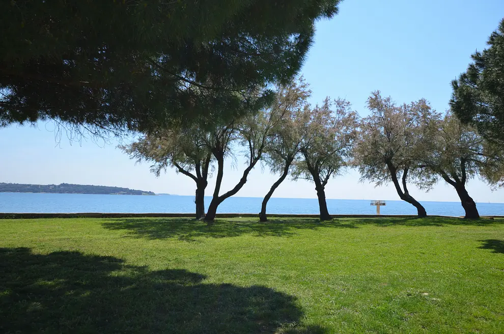 Ferienwohnung in Novigrad in Dalmatien  999208116 36093 – Foto 3