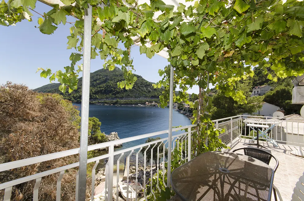Ferienwohnung in Mljet  999204030 32253