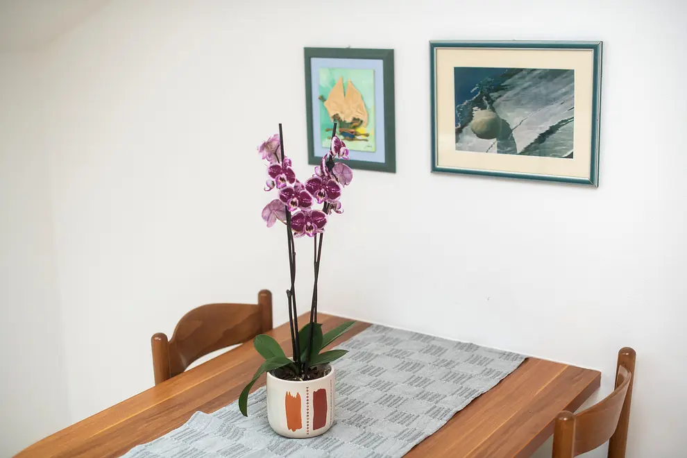 Ferienwohnung in Novalja  999205242 33409 – Foto 29