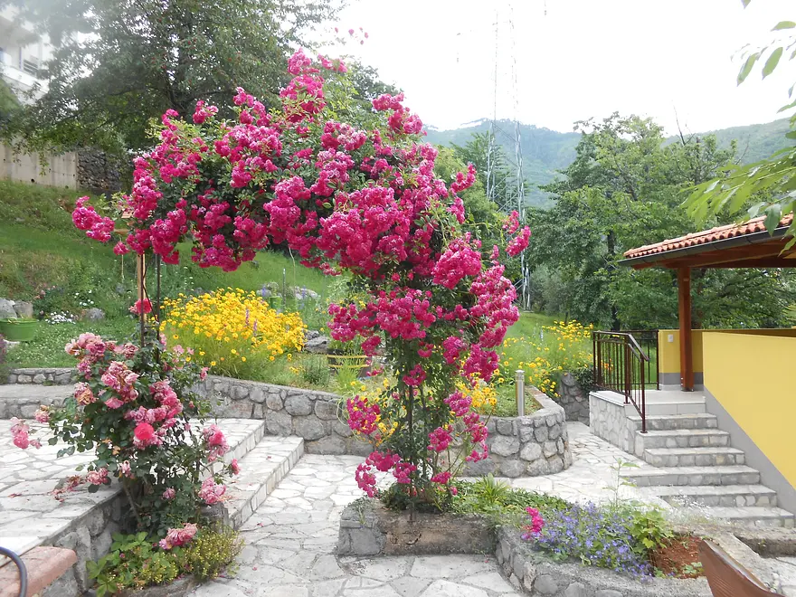 Ferienwohnung in Opatija haustiergeeignet 66130709 16247