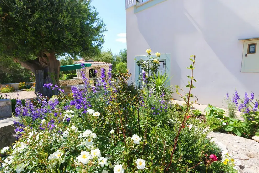 Ferienwohnung in Pag  999212348 40000