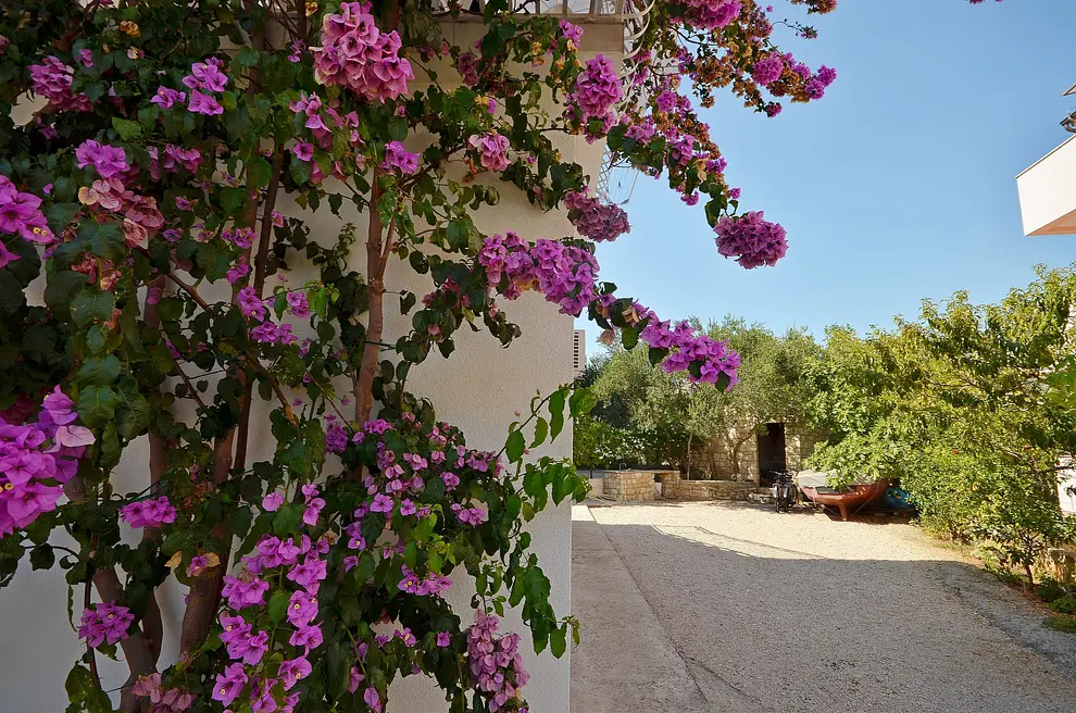 Ferienwohnung in Vodice  999202703 30977 – Foto 20