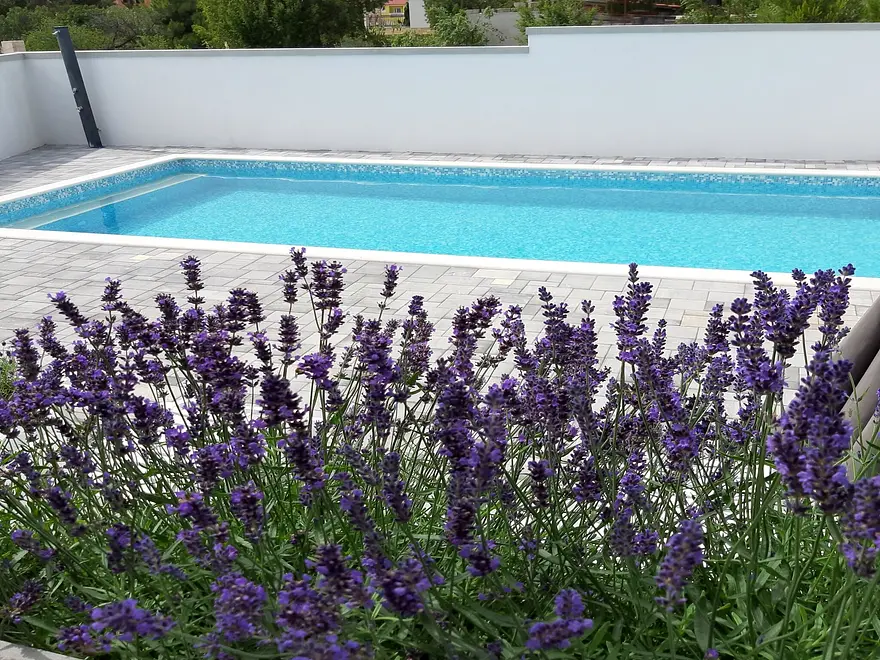 Ferienwohnung in Starigrad mit Pool 999208836 36783 – Foto 5