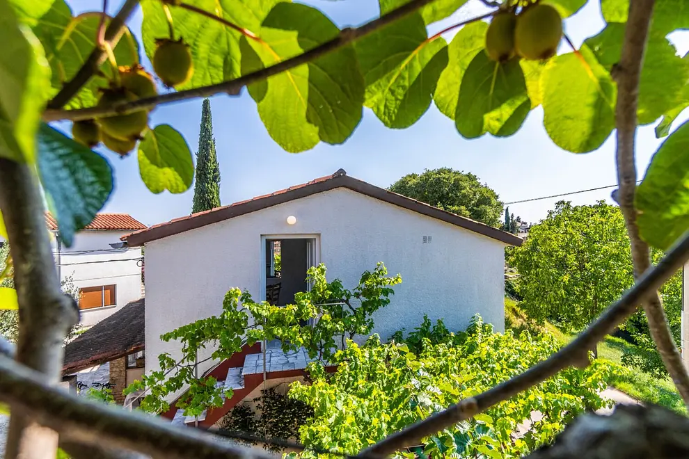 Ferienwohnung in Krnica  999211554 39322 – Foto 16