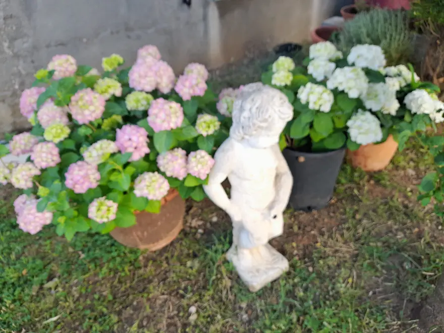 Ferienwohnung in Pag  999203852 32078 – Foto 16