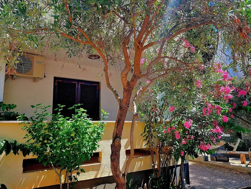 Ferienwohnung in Novalja  999211026 38849 – Foto 6