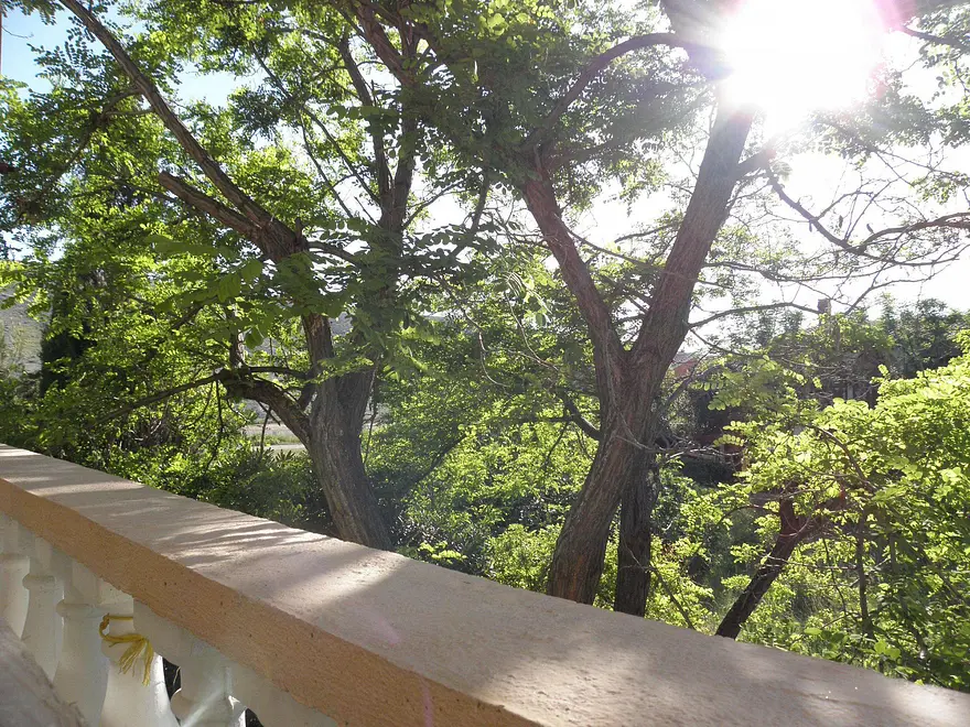 Ferienwohnung in Pag  66152901 26679