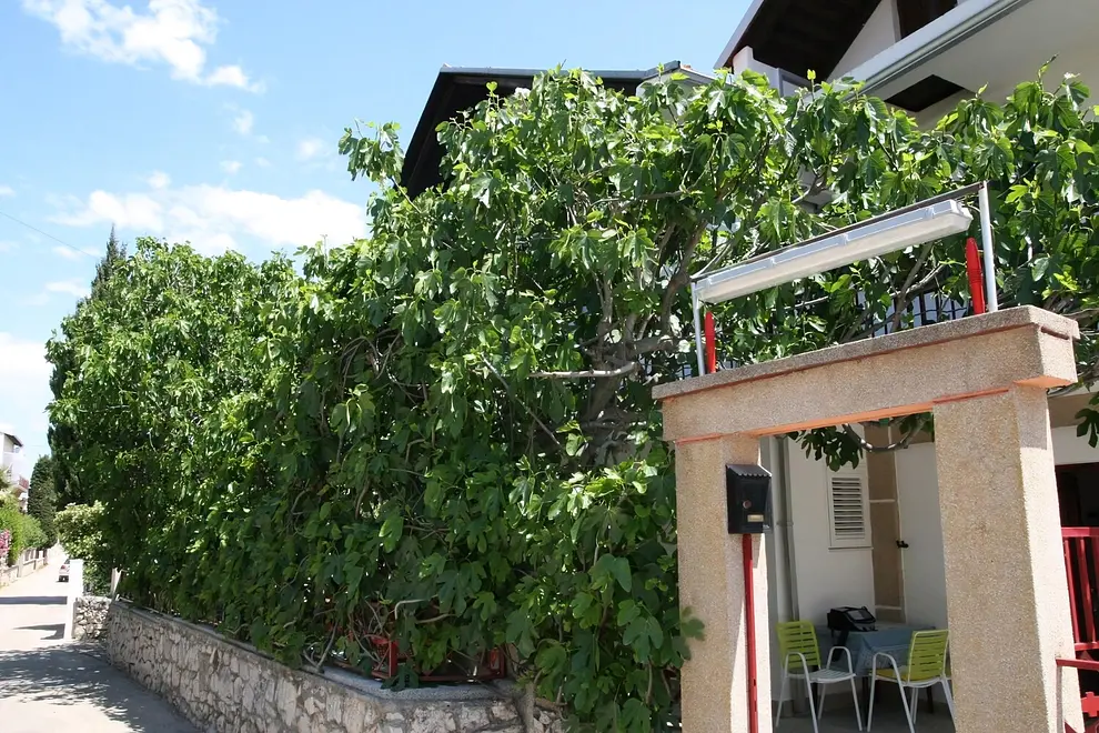 Ferienwohnung in Vodice haustiergeeignet 999212935 40490 – Foto 14
