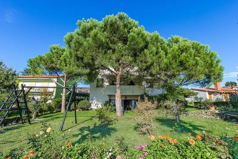 Ferienwohnung in Medulin haustiergeeignet 66121929 9650