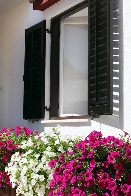 Ferienwohnung in Banjole  999205766 33904 – Foto 6