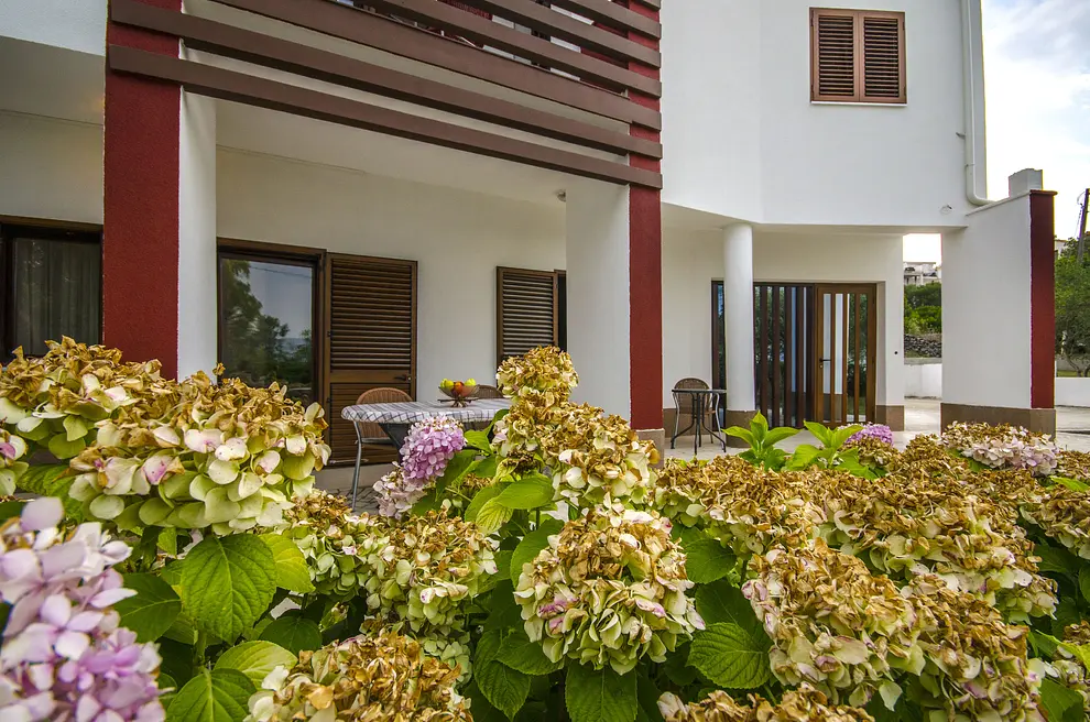 Ferienwohnung in Ciovo haustiergeeignet 66131740 17036