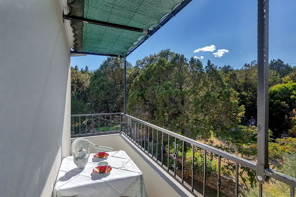 Ferienwohnung in Hvar haustiergeeignet 66120132 8196