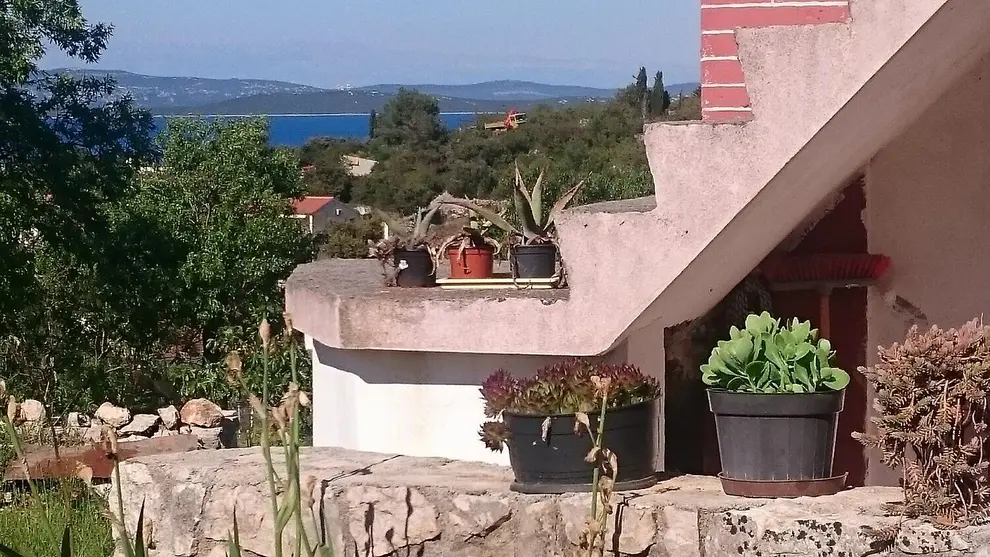 Ferienwohnung in Dugi Otok haustiergeeignet 999211540 39308 – Foto 23