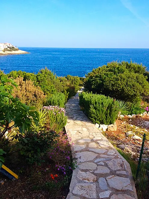 Ferienwohnung in Korcula  999203555 31793