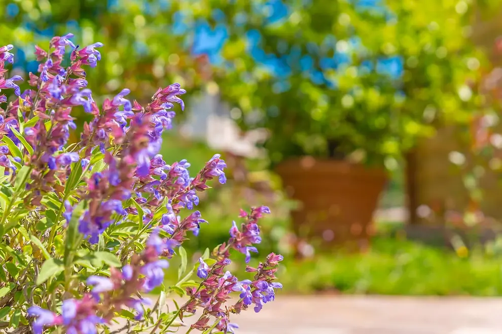 Ferienwohnung in Barban mit Pool 999209800 37701