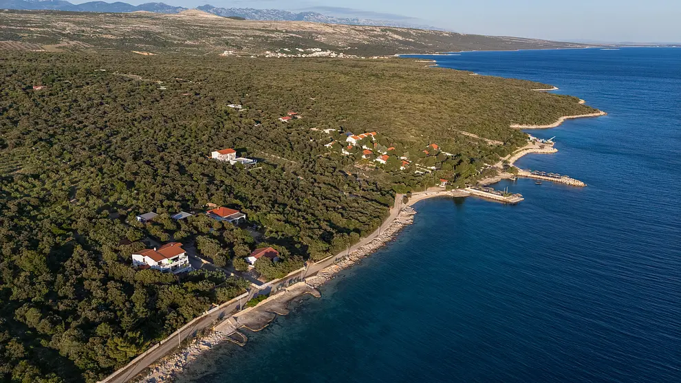 Ferienwohnung in Mandre haustiergeeignet 999210176 38053