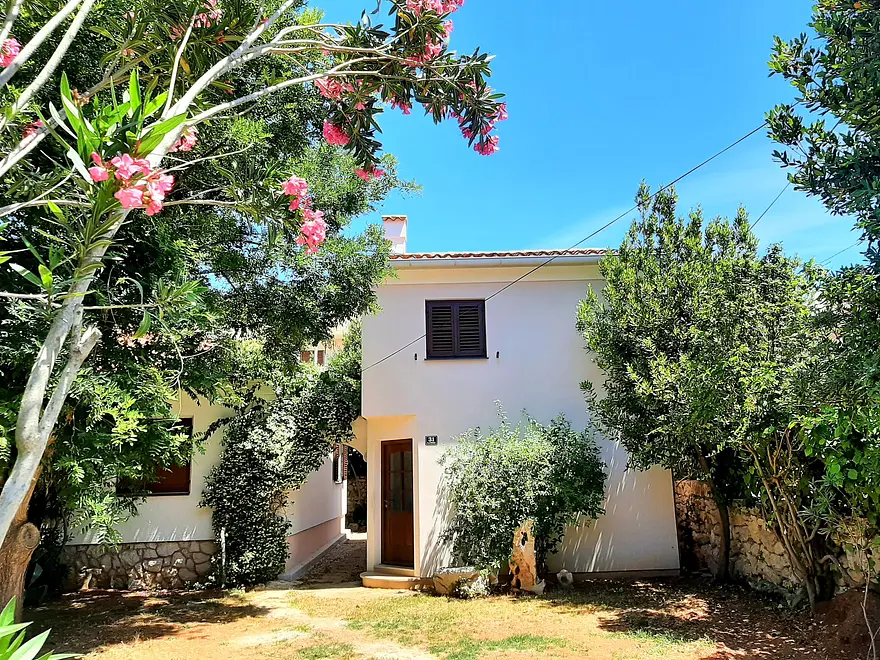 Ferienwohnung in Novalja haustiergeeignet 999208264 36241 – Foto 30