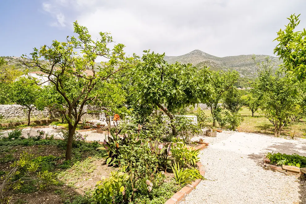 Ferienwohnung in Dubrovacko Primorje  999225856 42443 – Foto 26