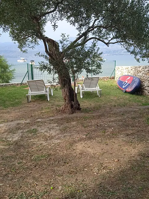 Ferienwohnung in Brac haustiergeeignet 999210858 38692 – Foto 3
