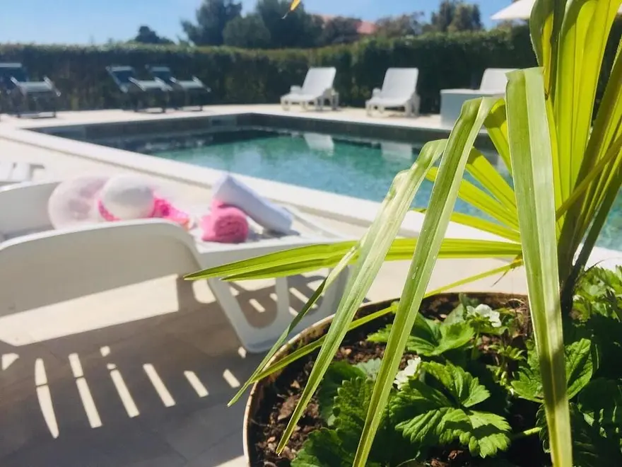 Ferienwohnung in Bibinje mit Pool 999213045 40585 – Foto 8