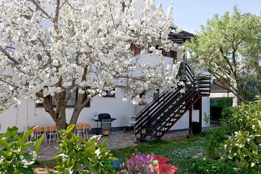 Ferienwohnung in Novigrad in Dalmatien  999209925 37820 – Foto 5