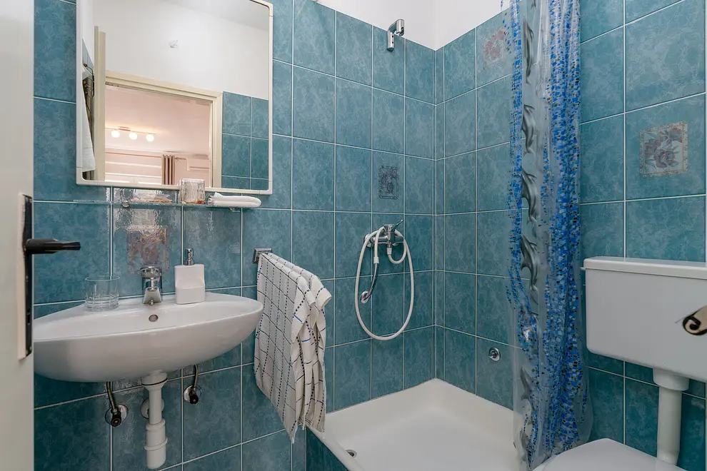 Ferienwohnung in Mandre haustiergeeignet 999203452 31700 – Foto 24