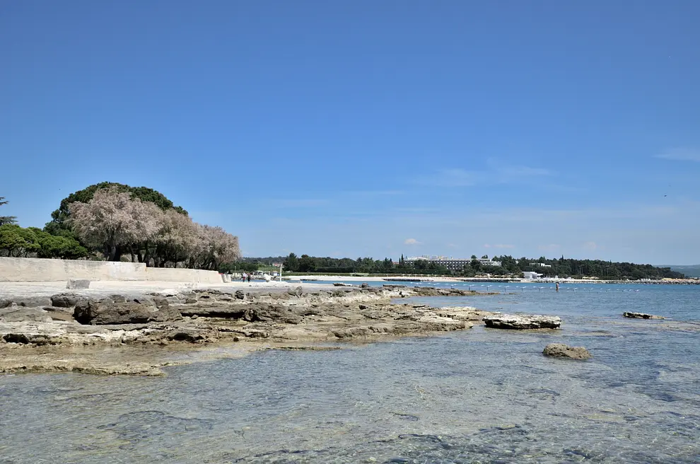 Ferienwohnung in Novigrad in Dalmatien  999208116 36093 – Foto 7
