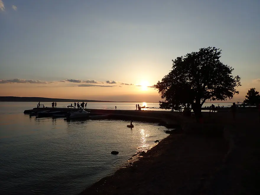 Ferienwohnung in Starigrad  66131250 16659