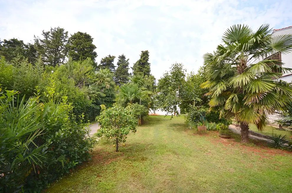 Ferienwohnung in Umag  999203622 31858 – Foto 3