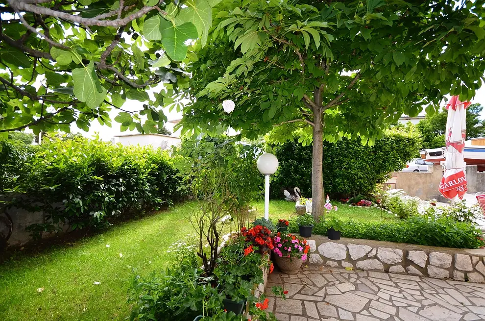 Ferienwohnung in Novi Vinodolski  999204427 32622 – Foto 6