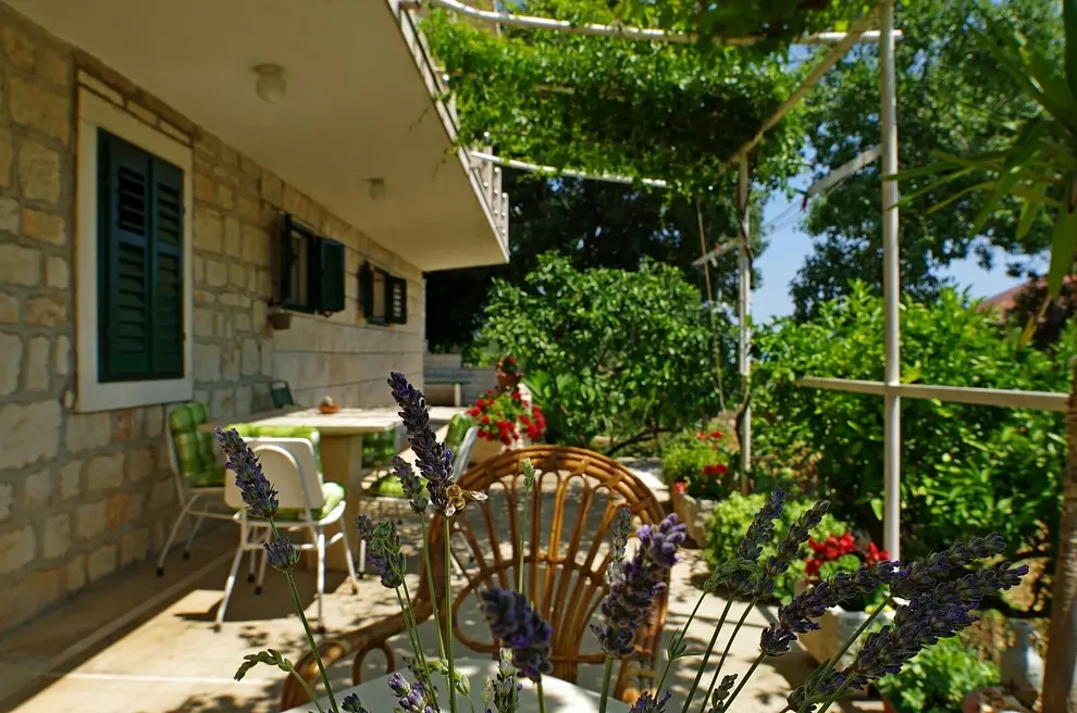 Ferienwohnung in Brac haustiergeeignet 66151988 25966